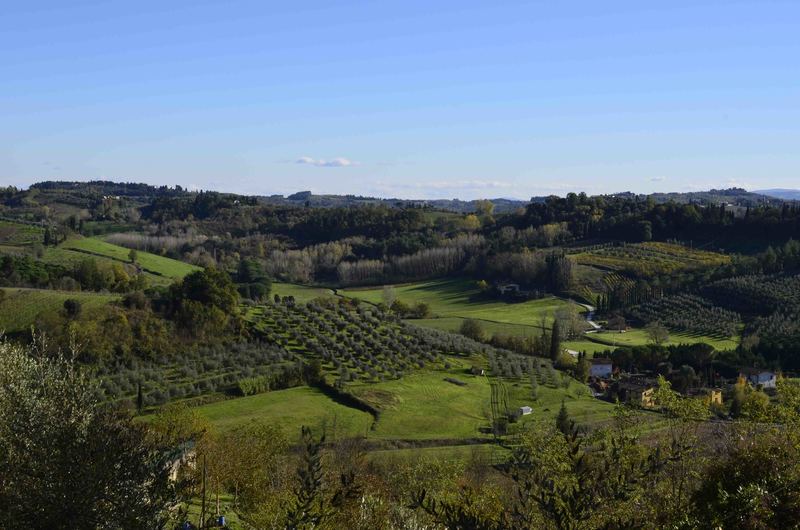 Sagra_del_Tartufo_San_Miniato___Date_Sneakers_1.jpg